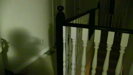 Vampire Cat!! Linus Cat Tips