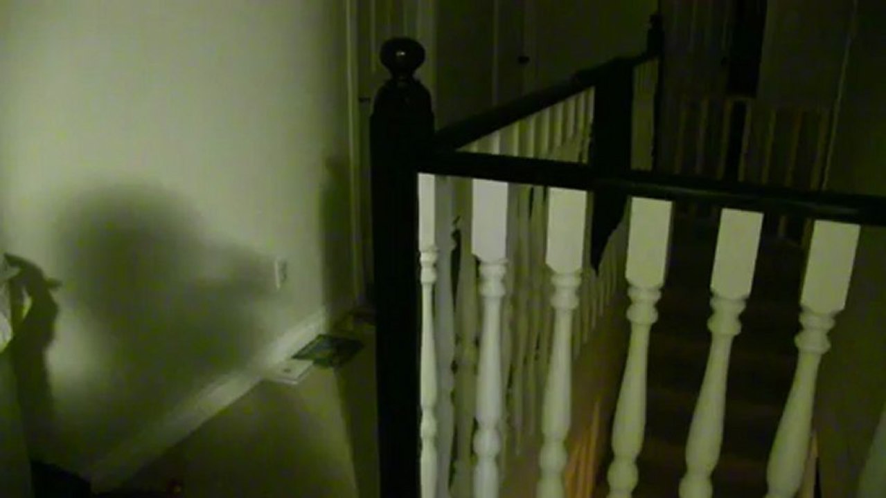 Vampire Cat!! Linus Cat Tips
