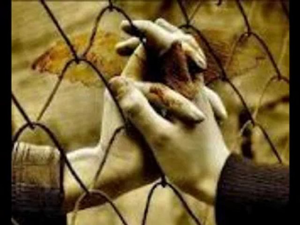 mustafa yıldızdogan ya sen gel yada ben geleyim