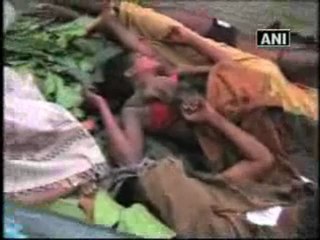 Five Maoists, including four women, killed in Orissa.mp4