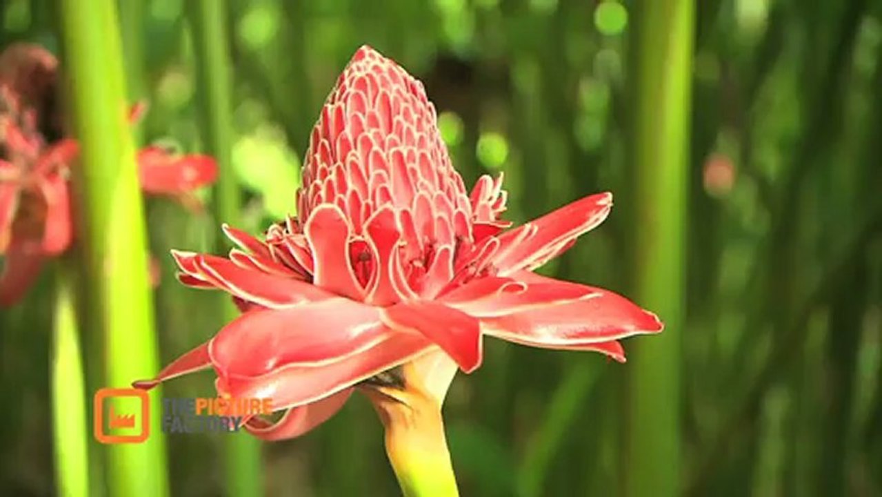 Collection Eclectic Production