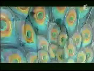 Générique - George de la jungle