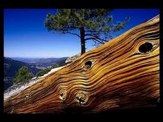 Ölürüm sana S€Zi