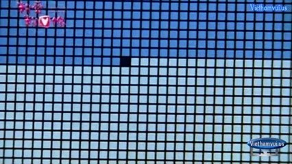 Viethamvui YNNhieuL4m_D9_2