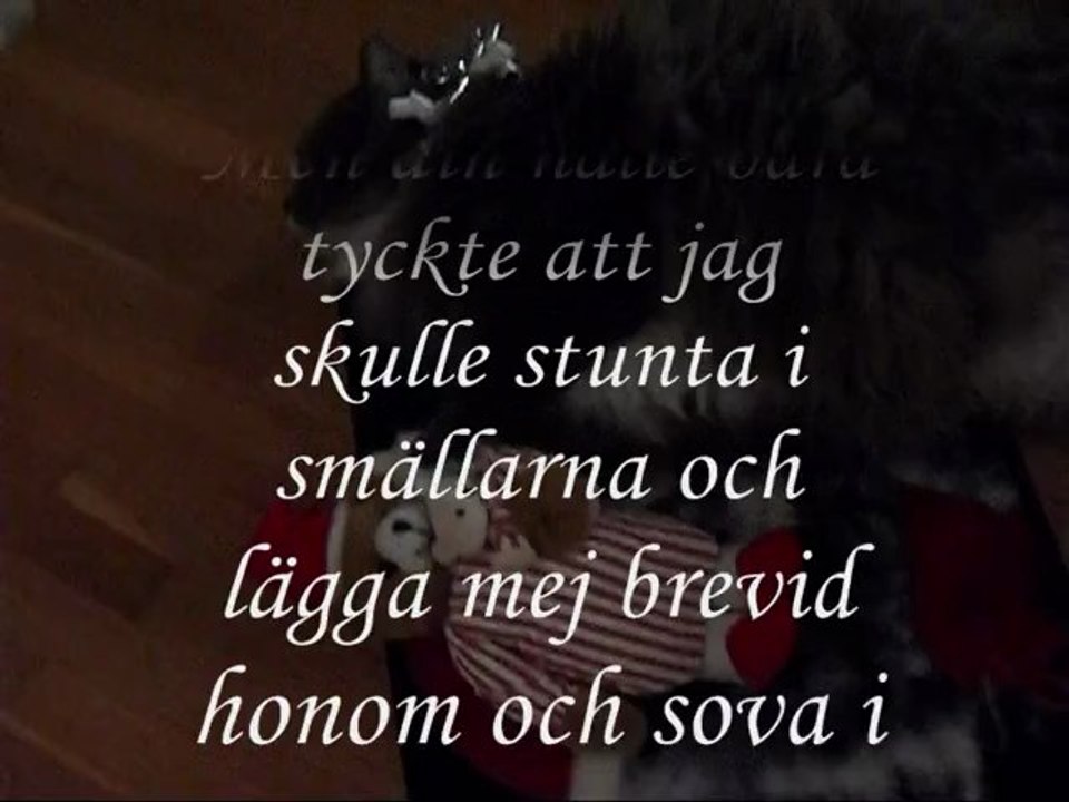 Film nr 2 på Revis  2 Jan - 13.  Med  kattsång.