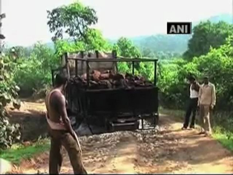 Maoists destroy trucks carrying bauxite in Jharkhand.mp4