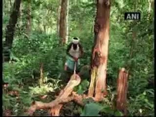 Maoists disturbing day-to-day life of the common man.mp4