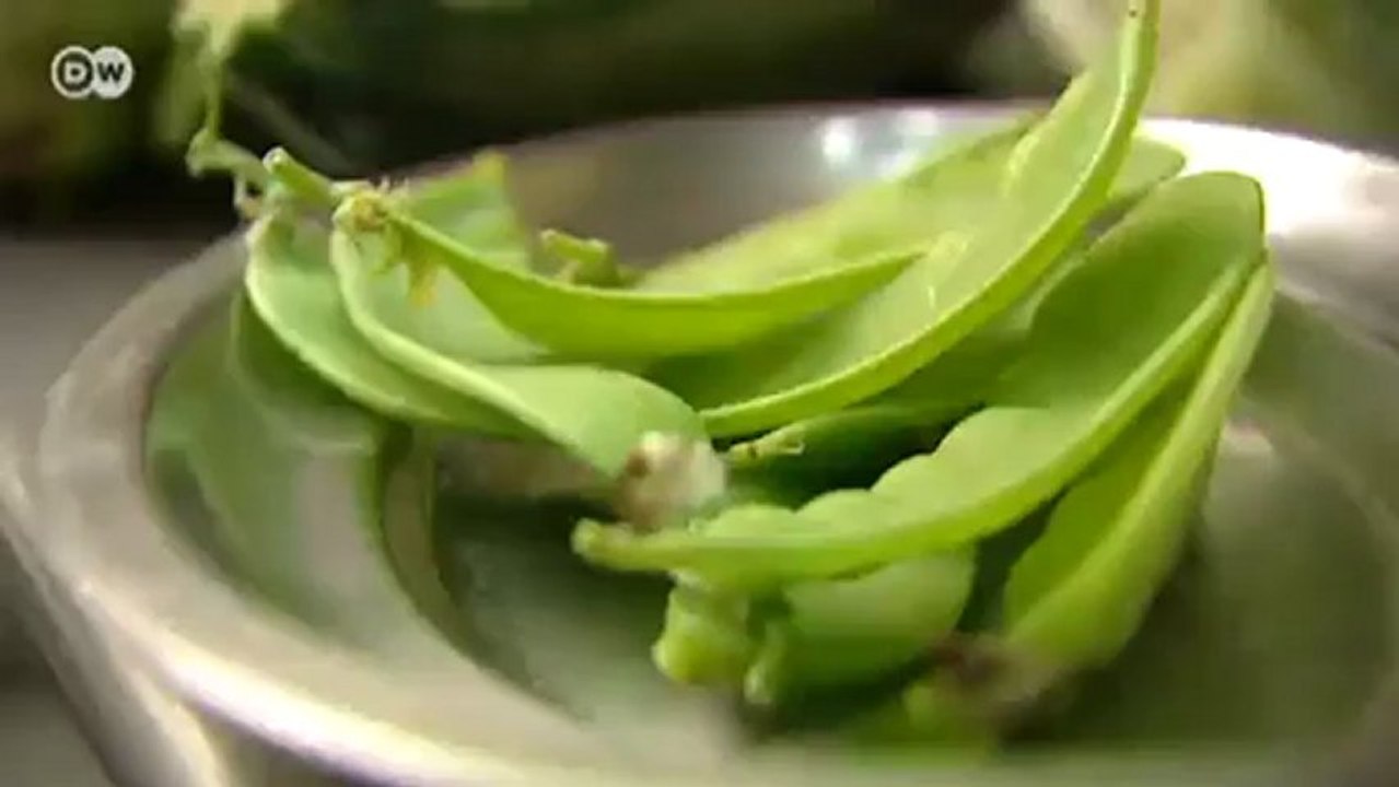 Menestra - ein gemüsegericht aus aragonien | euromaxx