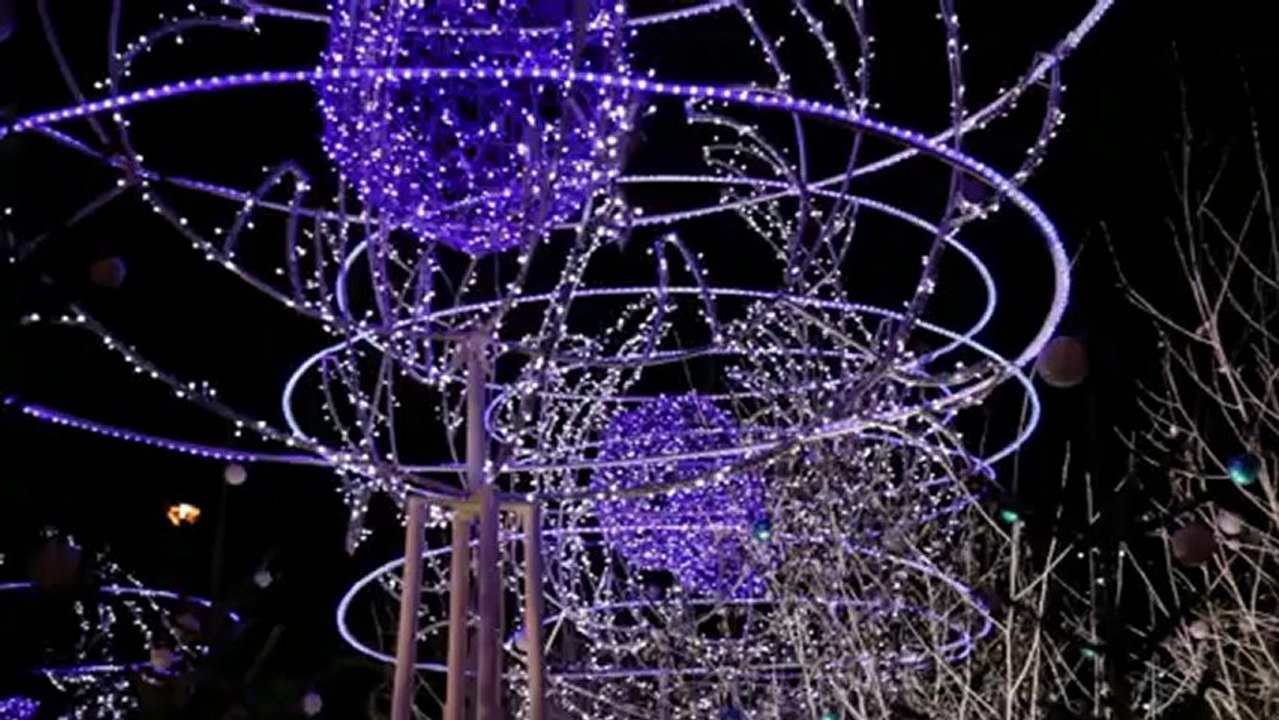 Christmass in Paris