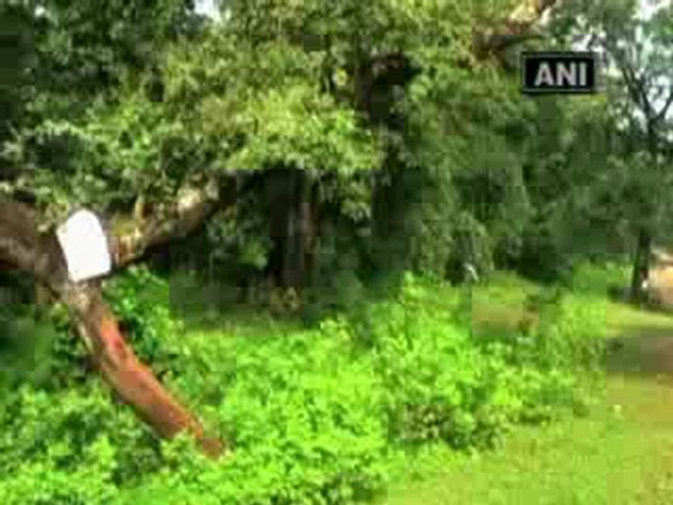 Police probe Maoists' claim of policemen abduction in Chhattisgarh.mp4