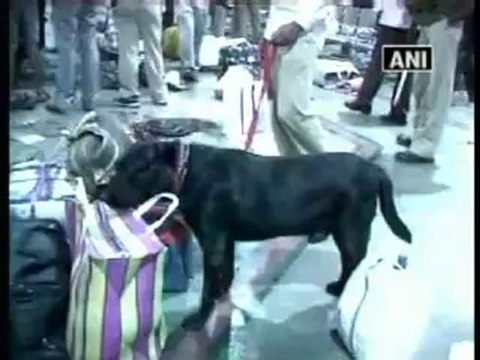 Sonia Gandhi condemns attacks in Mumbai.mp4