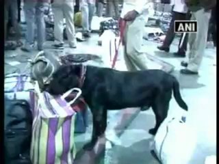 Sonia Gandhi condemns attacks in Mumbai.mp4