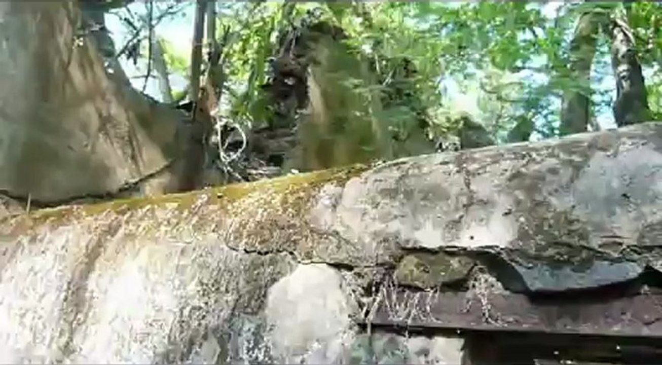 Visit to the Salvation Islands in French Guiana