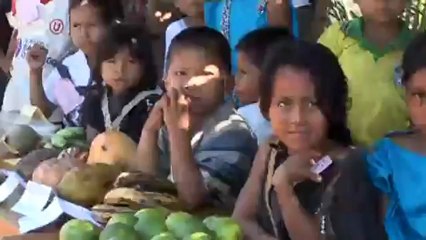 Proteger la selva tropical en Perú | Global 3000