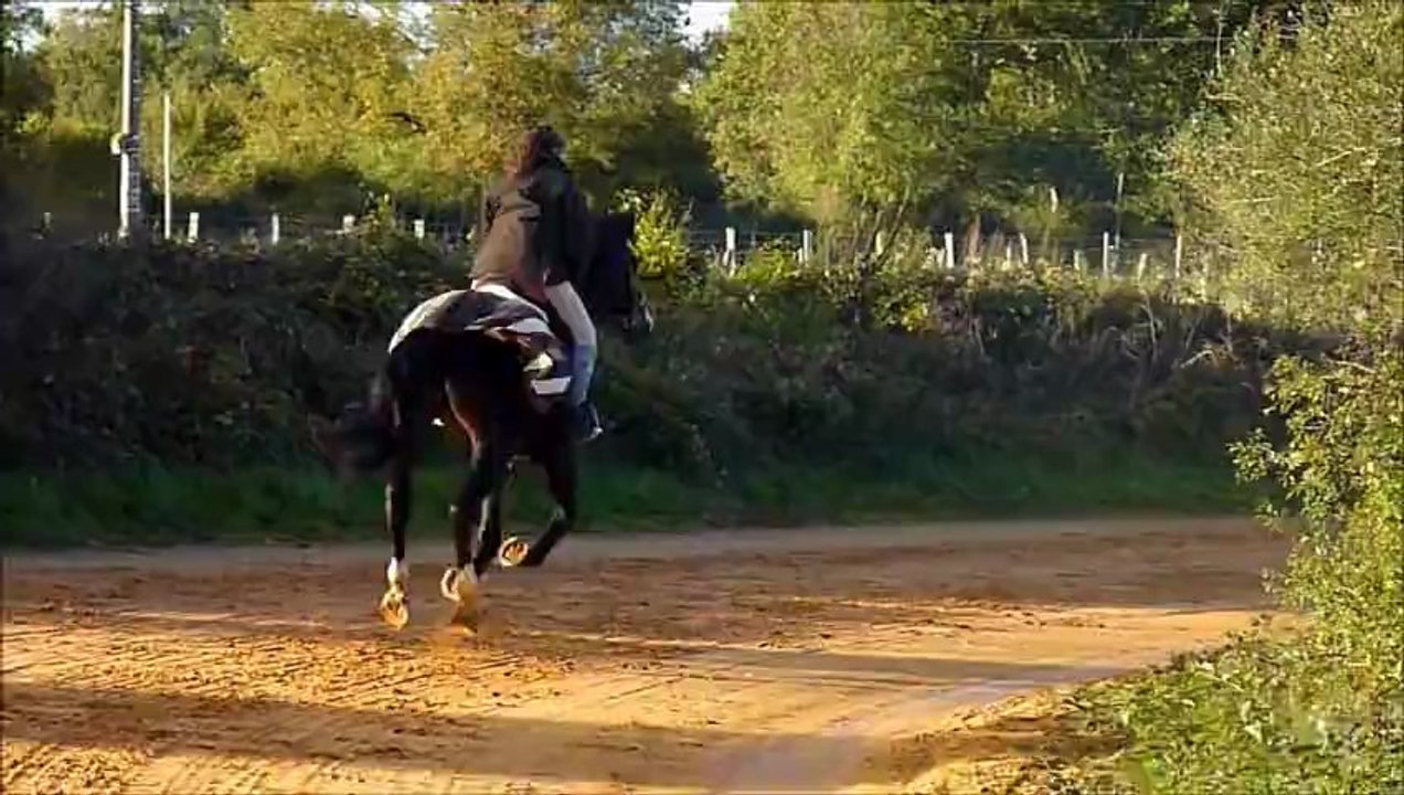 Accélération avec Cuba sur la piste de galop 02/11/12