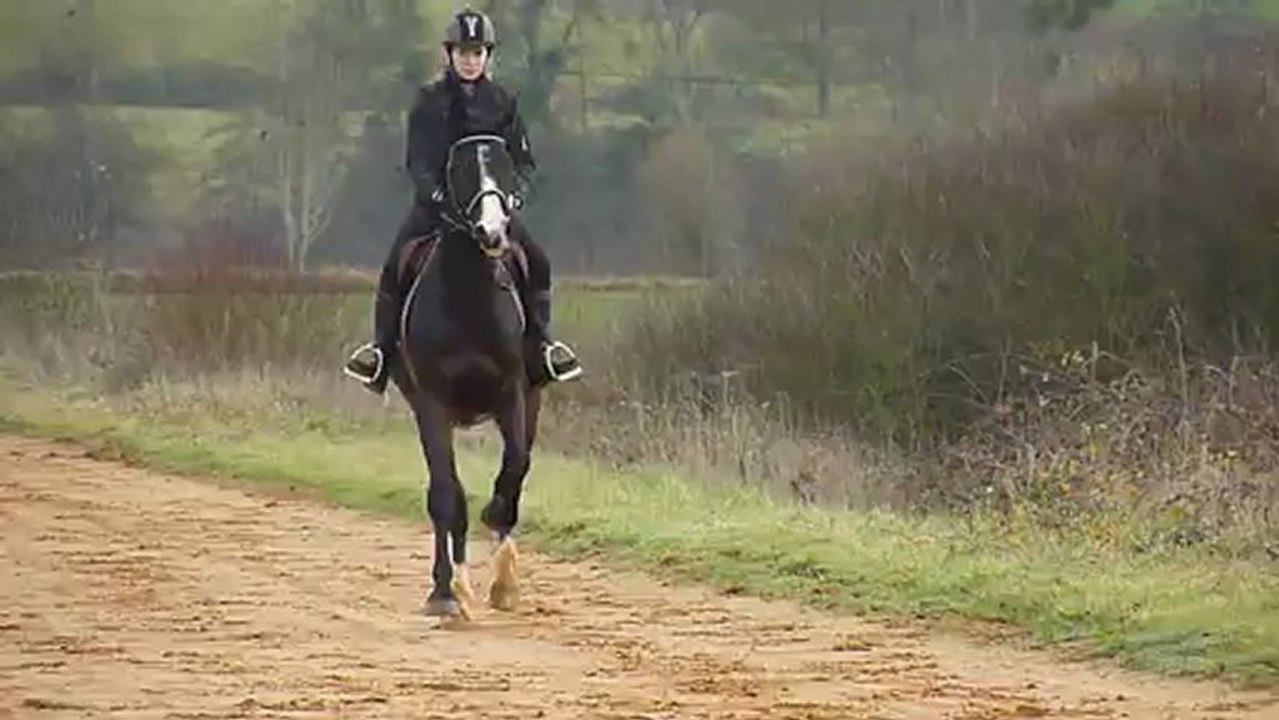 Cuba libre travail au galop sur des barres 24/12/12
