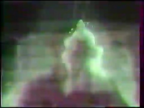 doublage tortues ninja