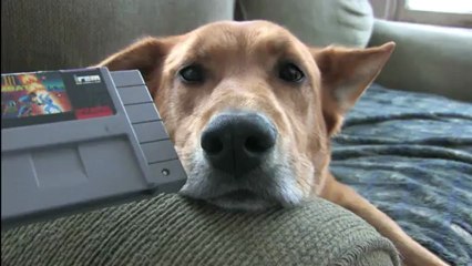 Classic Game Room - STREET COMBAT review for Super Nintendo