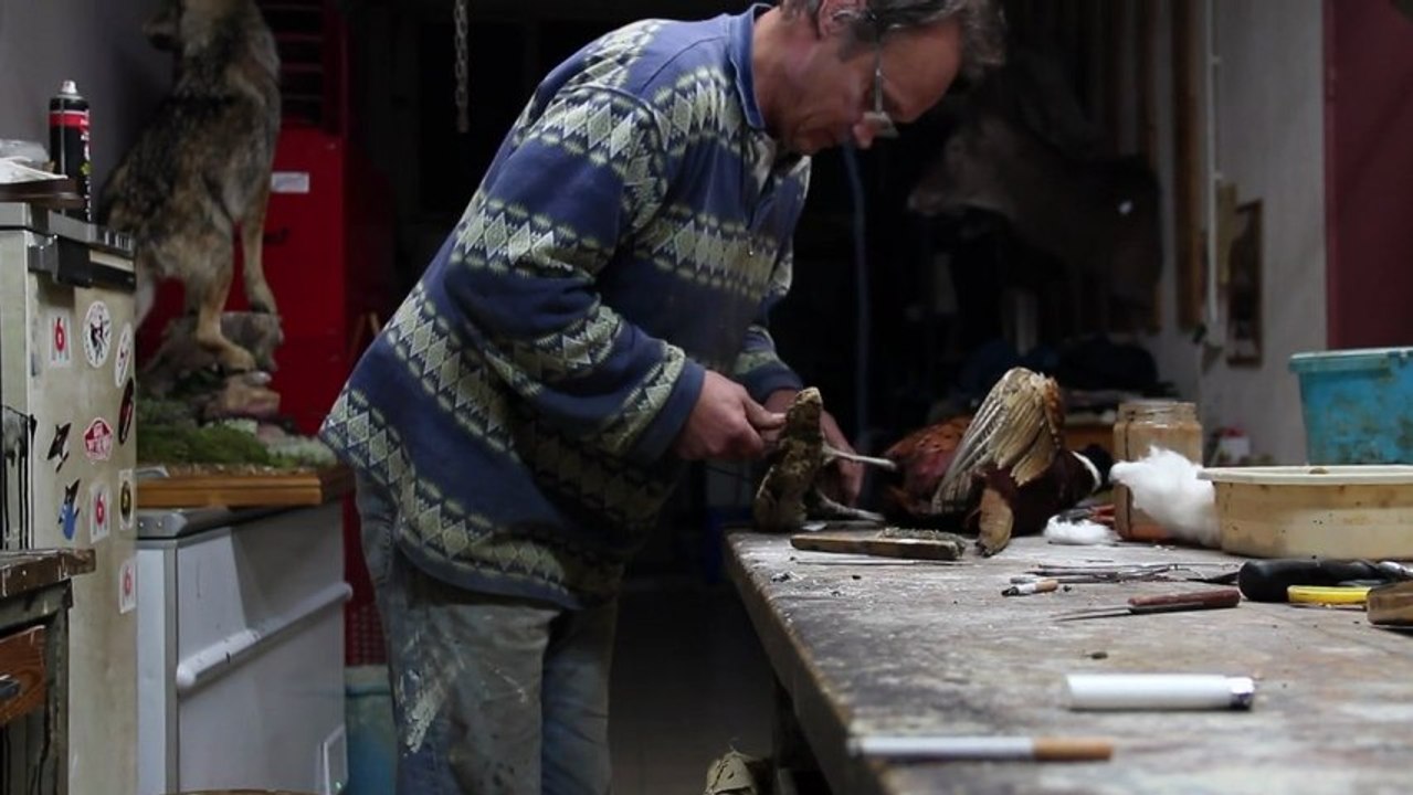Chez Eduard, taxidermiste HD