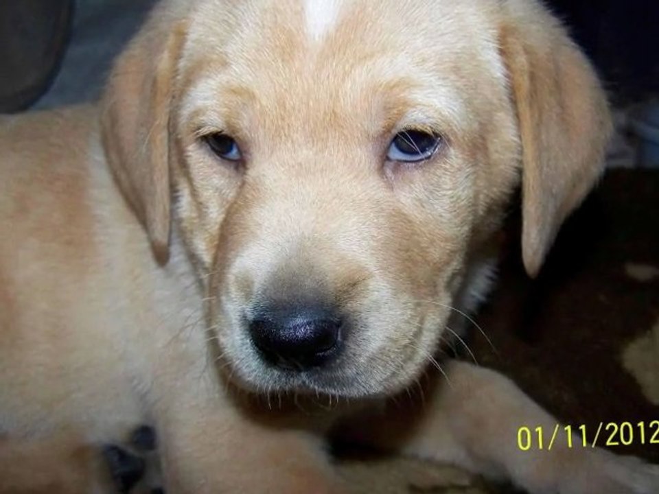 Starla's Year 2012