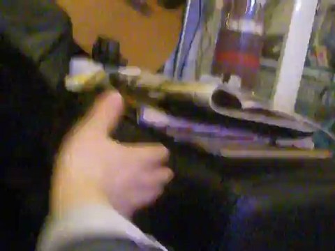 les cavaliers king charles aux bêtises...