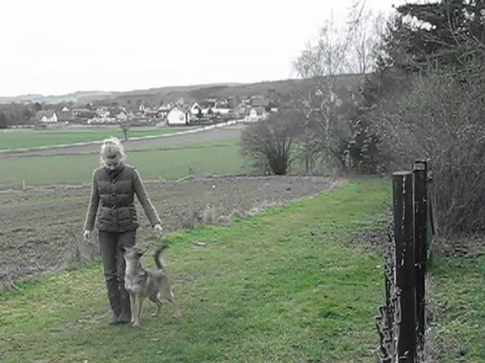 UO mit BW - Juna 12 Monate