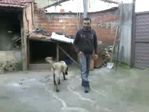 472934562743034_25843.failed-conv