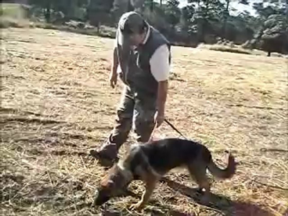 TACHA rastro video 2