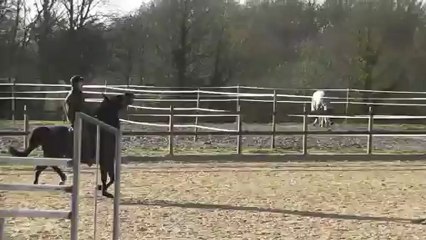 02.01.2013 : Rap'Tout de la Tour / Séance sur les barres