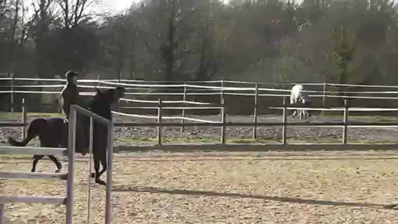 02.01.2013 : Rap'Tout de la Tour / Séance sur les barres