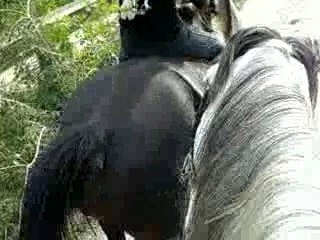 BALADE AVEC MELINDA A CRU 1H