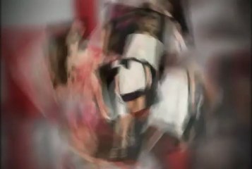 Complementing Cherry Blooms Fashion and Function Bag Organizers Online