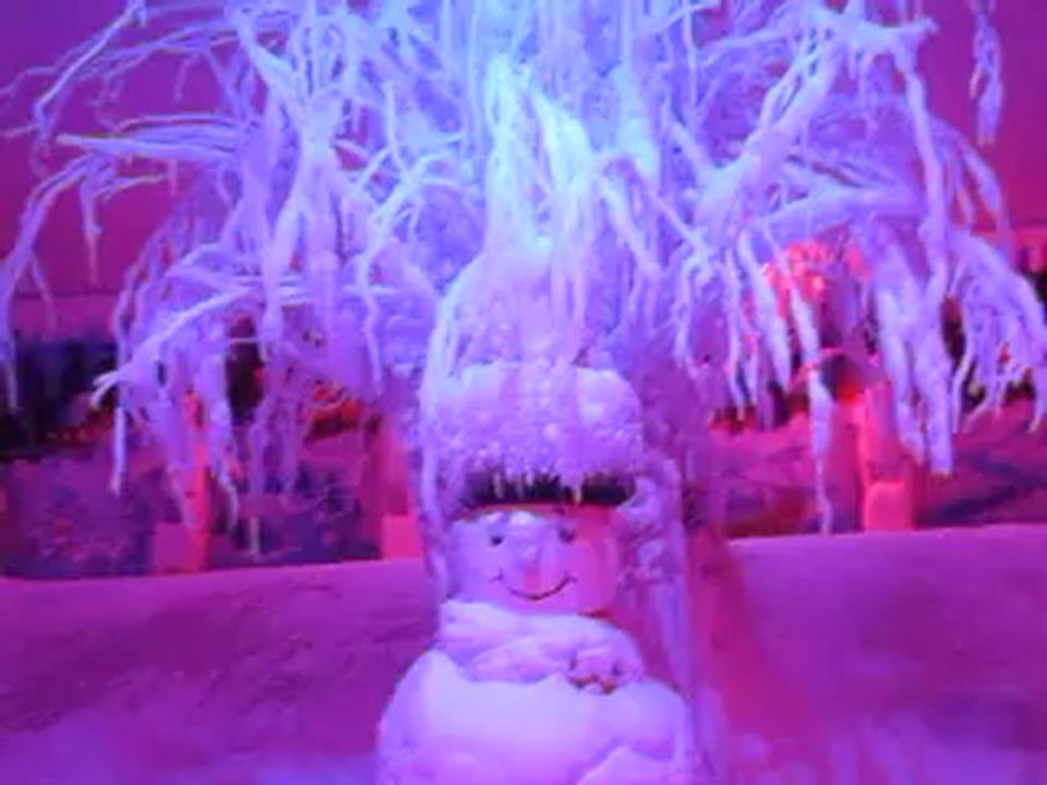 parc d'attraction (3)