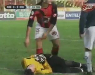 Gaston Cellerino: Profile Overview