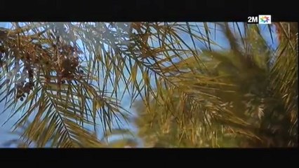 Le Maroc que j'aime : Zagora