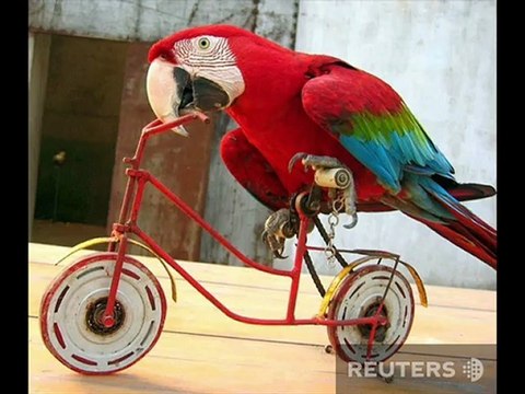 Мото, вело креатив | Moto-led creative. Fhotoclip