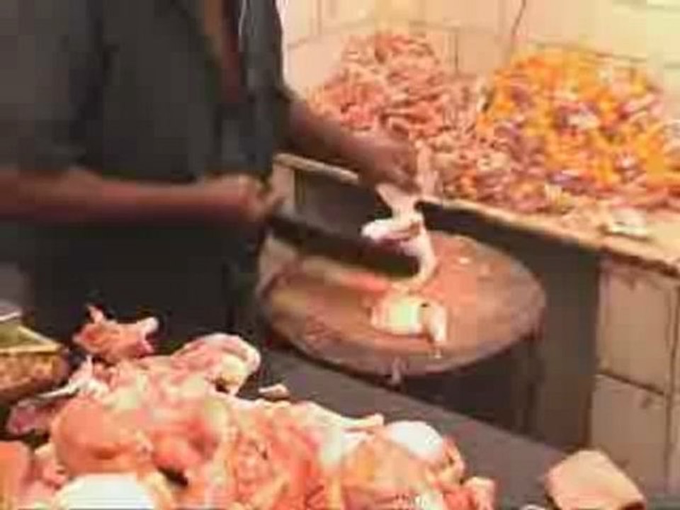 FLUSH AT HIGH PRICE - Nellore News