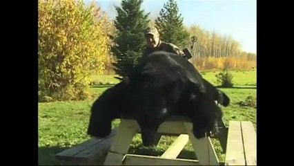 Blanchett Outdoor Adventures Bear Promo