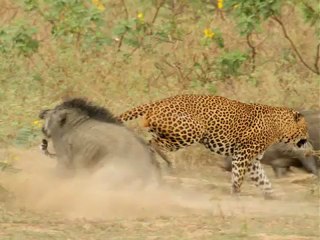 중국카지노 ✉✆✄BAC666.COM ✄✆ ✉ 온라인룰렛게임