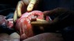 The First Viral Facebook Photo of 2013 Shows Baby Grabbing Doctor's Finger