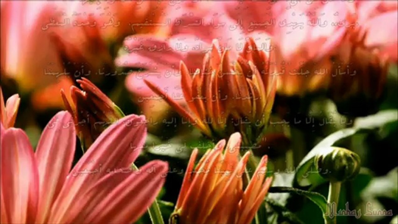 Qu'Allah te fasse miséricorde Ô maman - cheikh Mohamed Sa'id Rslan