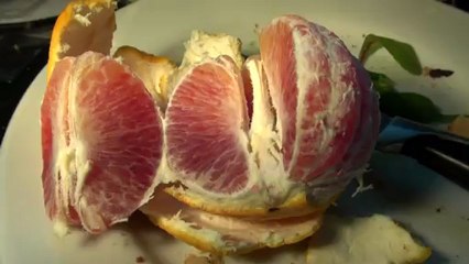 tue 1 jan 2012 george godley london u.k 00263