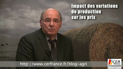 Le marché de la pomme de terre de conservation par Pierre-Yves Lelong