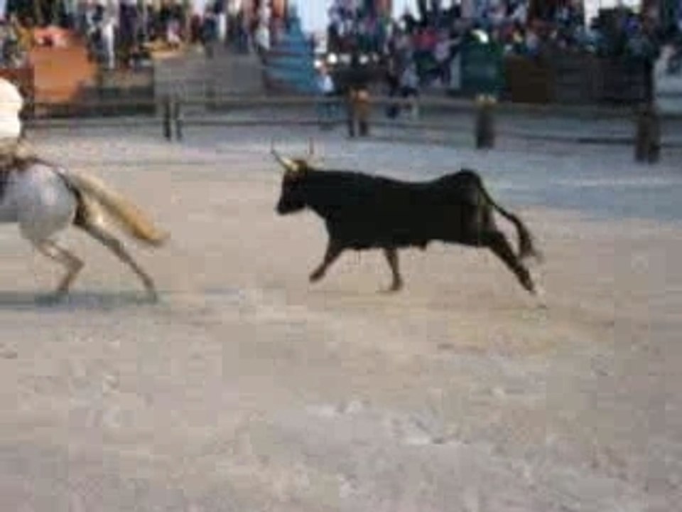 Aigues Mortes 2006