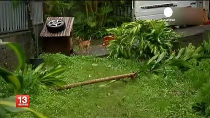 Reunion Adası'nda kasırga etkisini yitiriyor