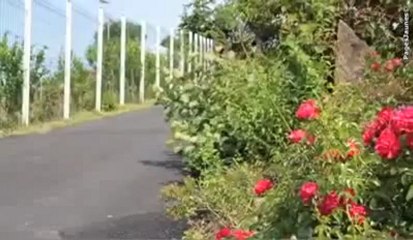 Visite du camping des 2 jumeaux été 2012