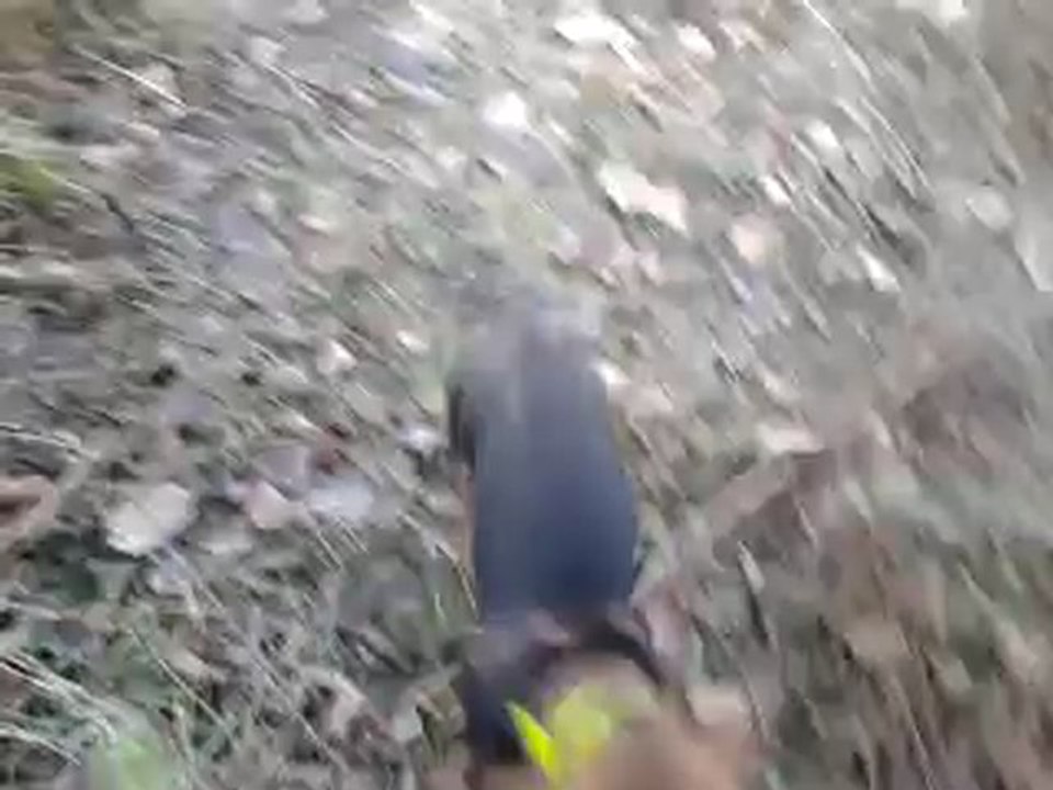 video-2013-01-03-08-51-30