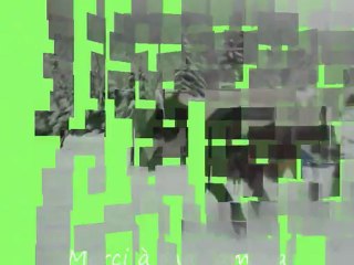 molène ski joëring 27.12.12