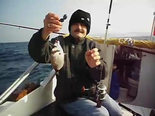 Mordoğan Karagöz avı