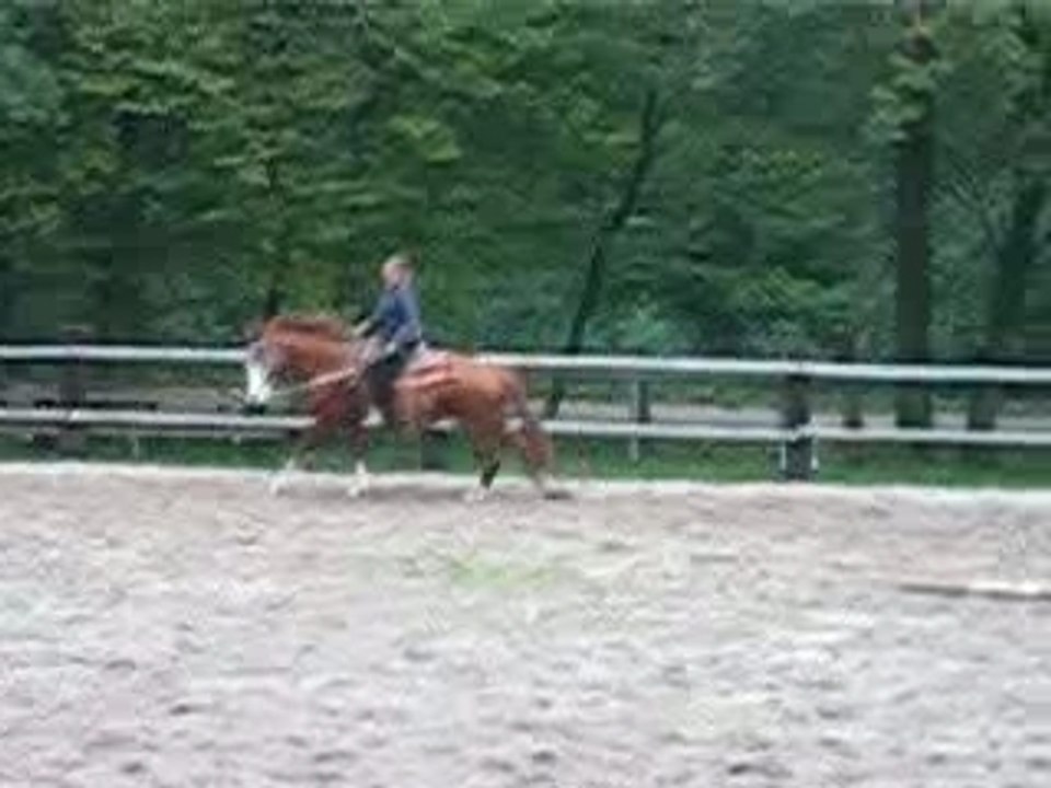 Galop a gauche et stop